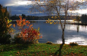 autumn-landscape_calm