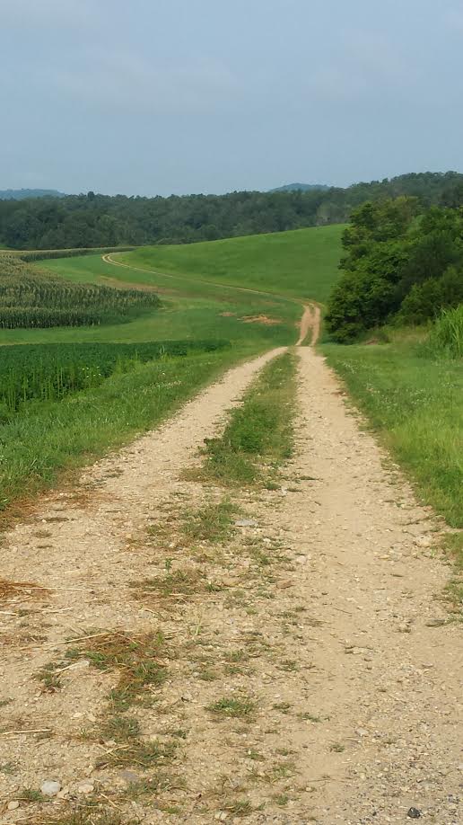 Gethsemani_path_pasture