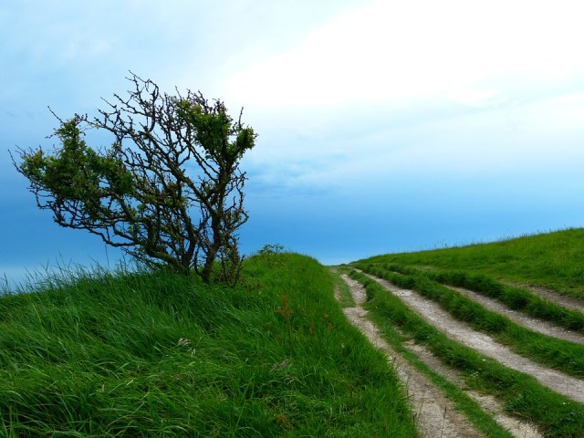 paths_hill_sky