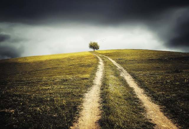 field_hill_path_tree