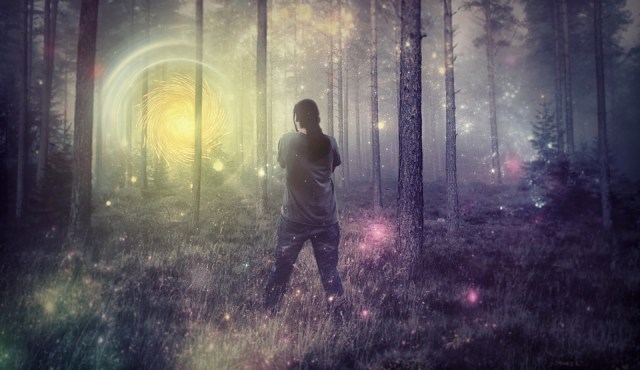 forest_surreal_lights