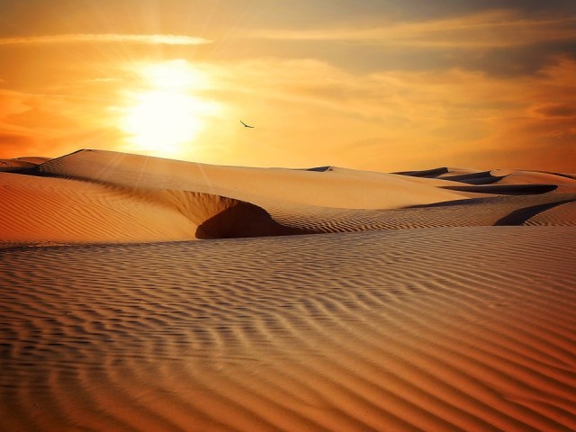 desert_sun